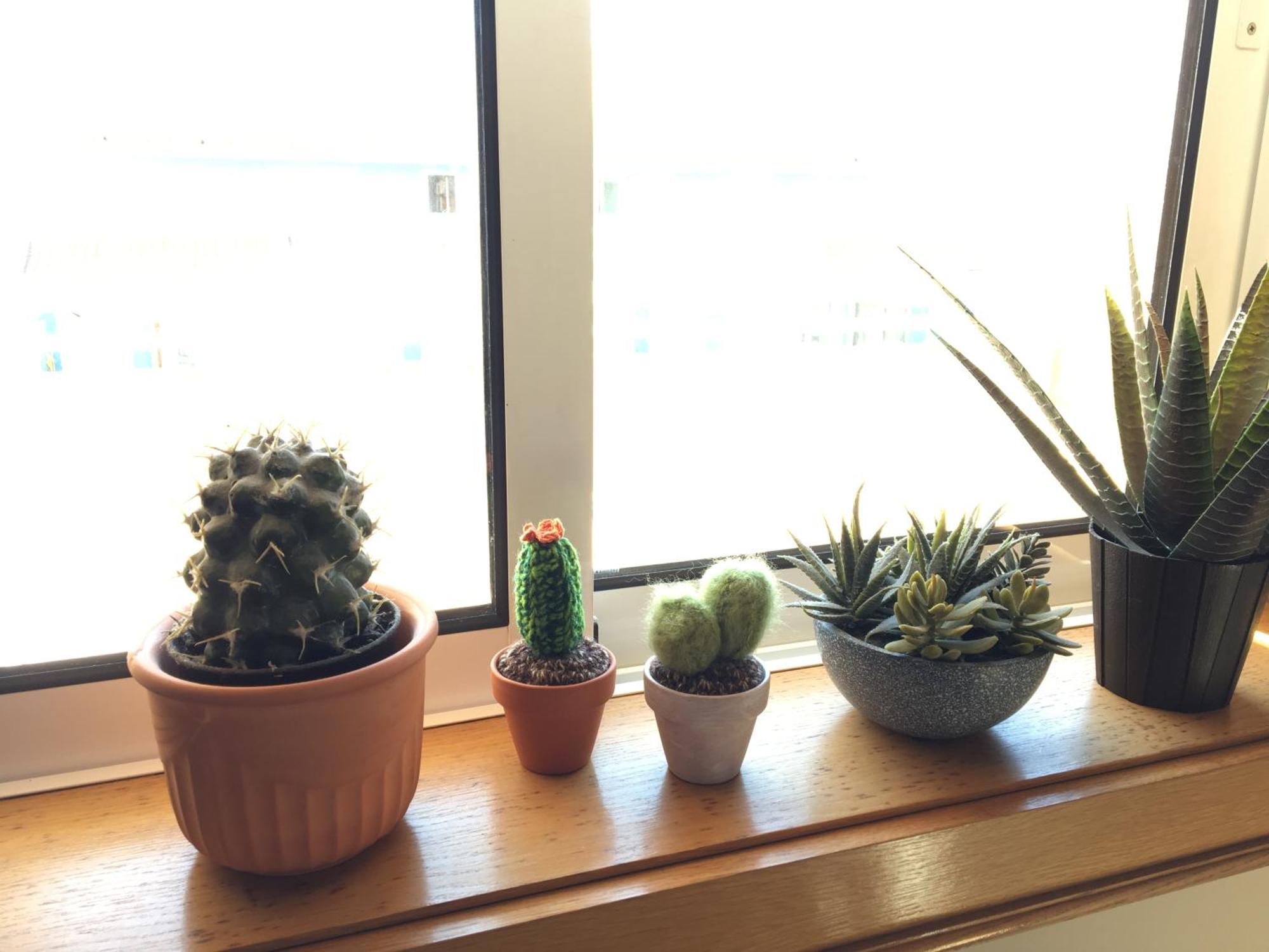Casa Da Barraアパートメント エクステリア 写真